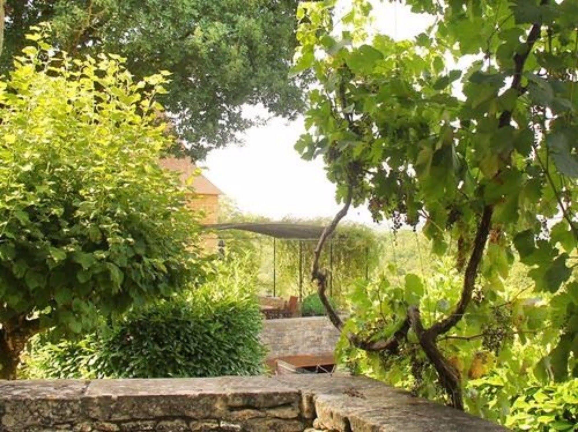 Chambres D'Hotes Avec Piscine La Rossillonie Beynac-et-Cazenac Exteriör bild